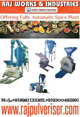 fully automatic spice processing plant