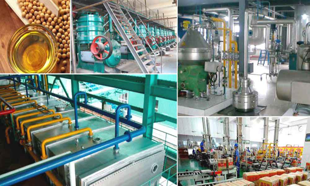 soybean-oil-processing-plant-project-report-detailed-project-reports